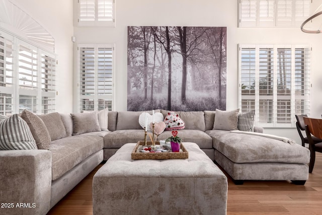 living room featuring wood finished floors