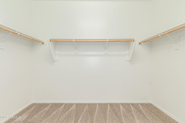 9822 W Caron Dr, Peoria, AZ 85345 - spacious closet with carpet