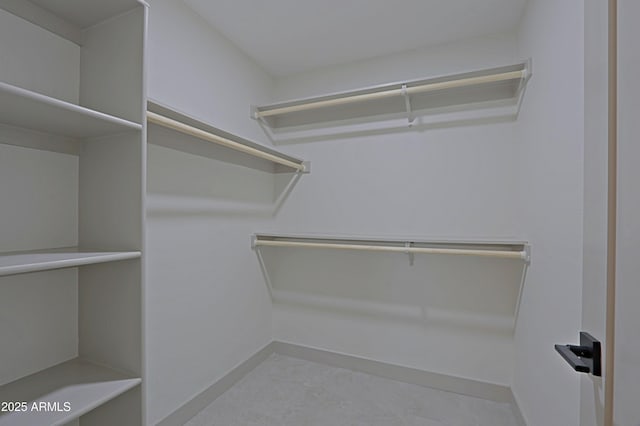 view of spacious closet