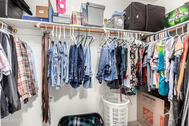 view of walk in closet