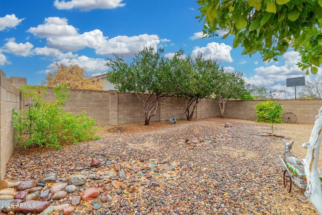 view of yard featuring a fenced backyard