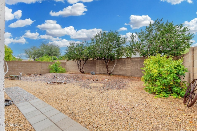 view of yard featuring a fenced backyard