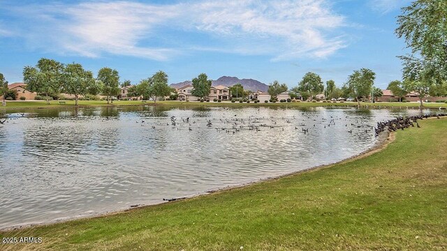 4667 E County Down Dr, Chandler, AZ 85249 - water view featuring nearby suburban area