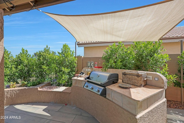 view of patio / terrace with area for grilling