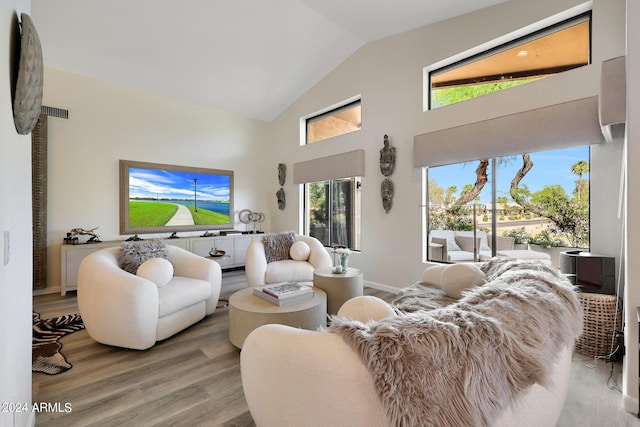 living room with wood-type flooring and high vaulted ceiling