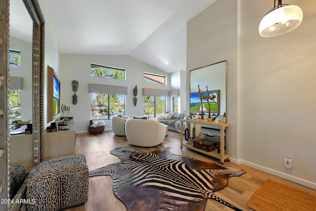 living room with hardwood / wood-style floors and high vaulted ceiling