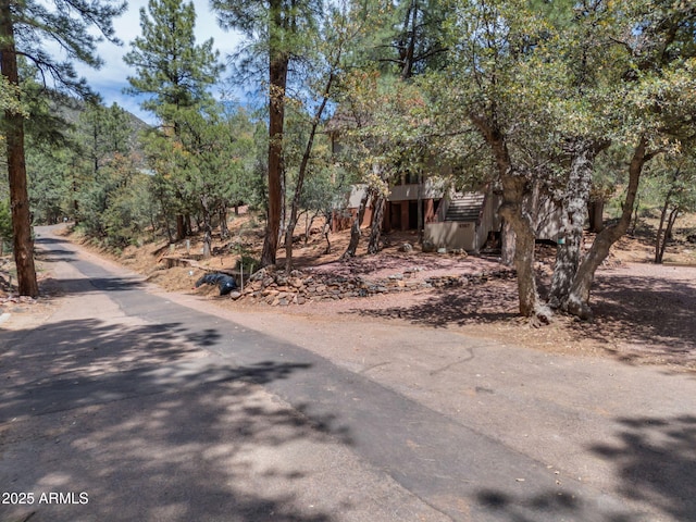 4567 N Juniper Ln, Pine, AZ 85544 - view of front facade