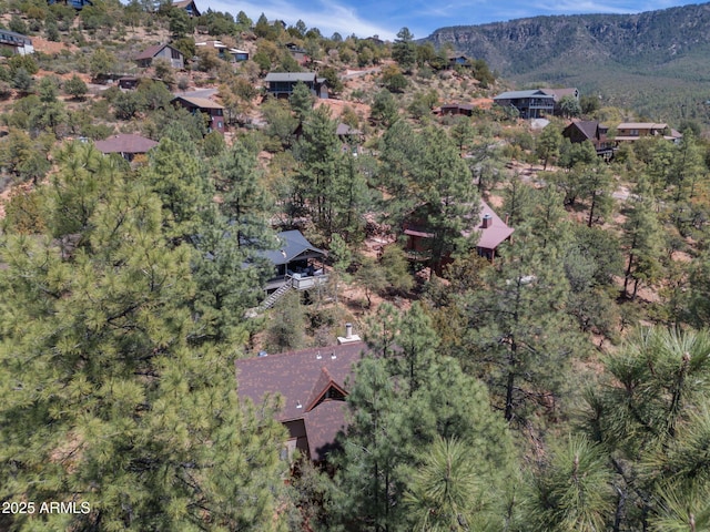 4567 N Juniper Ln, Pine, AZ 85544 - view of property location featuring a mountain backdrop and a heavily wooded area
