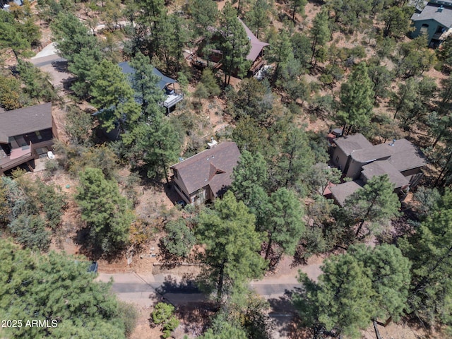 4567 N Juniper Ln, Pine, AZ 85544 - aerial overview of property's location