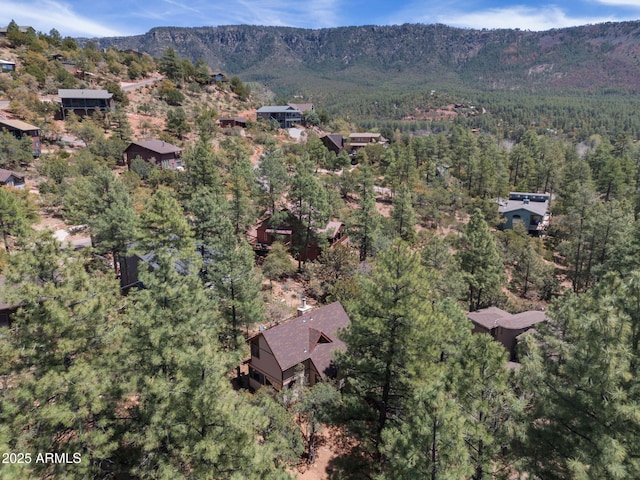 4567 N Juniper Ln, Pine, AZ 85544 - aerial view of property's location featuring a heavily wooded area and a mountainous background
