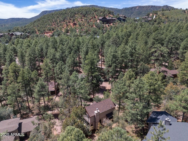 4567 N Juniper Ln, Pine, AZ 85544 - view of mountain backdrop featuring a heavily wooded area