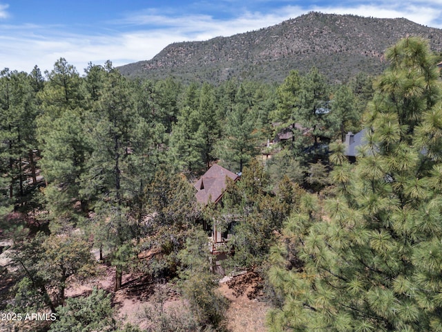 4567 N Juniper Ln, Pine, AZ 85544 - aerial view of property's location featuring a heavily wooded area and mountains