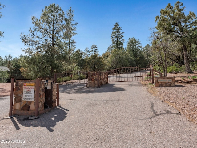 4567 N Juniper Ln, Pine, AZ 85544 - view of gate