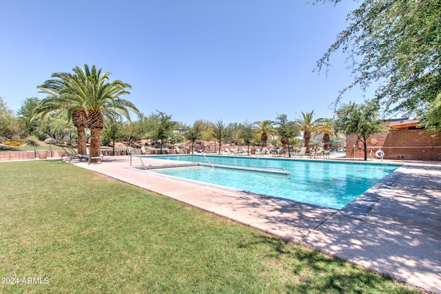 view of swimming pool with a patio and a lawn