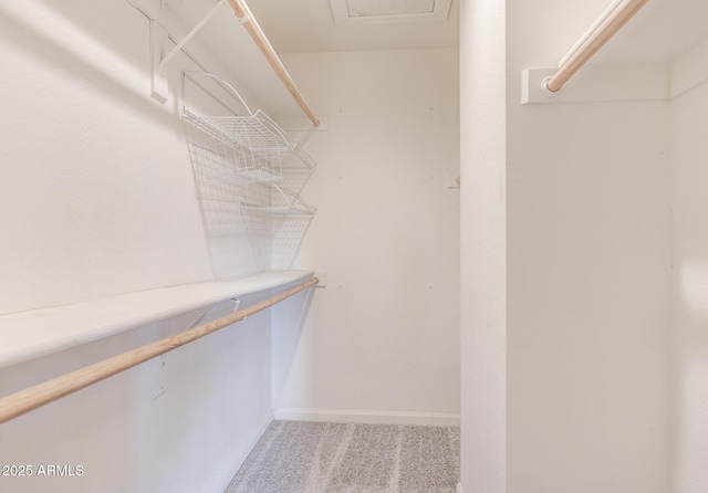 spacious closet featuring light carpet