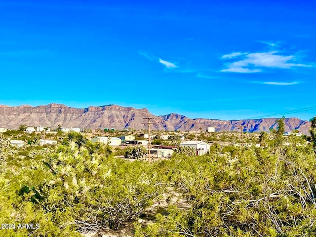 30112 30118 N Surf Cv -, Unit Meadview AZ, 86444 land for sale