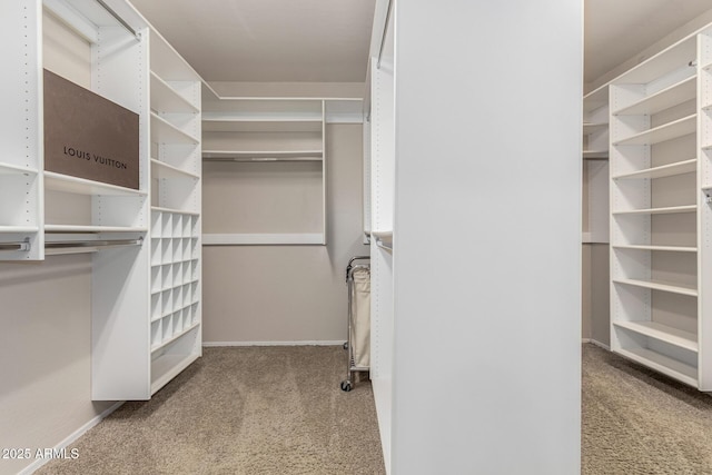 spacious closet featuring carpet flooring