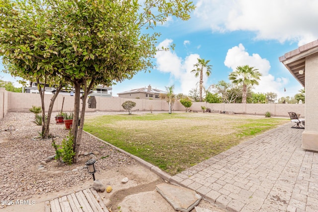 view of yard with a patio area and a fenced backyard