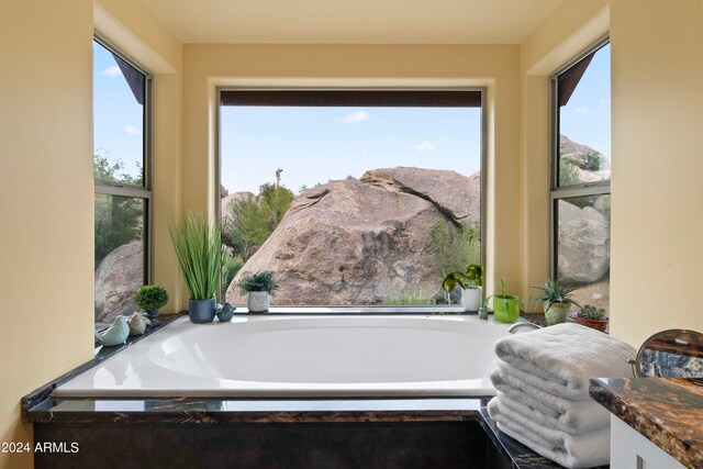 bathroom with a washtub