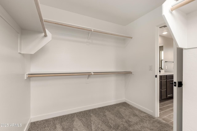 15599 S 180th Ln, Goodyear, AZ 85338 - walk in closet featuring carpet floors and a sink