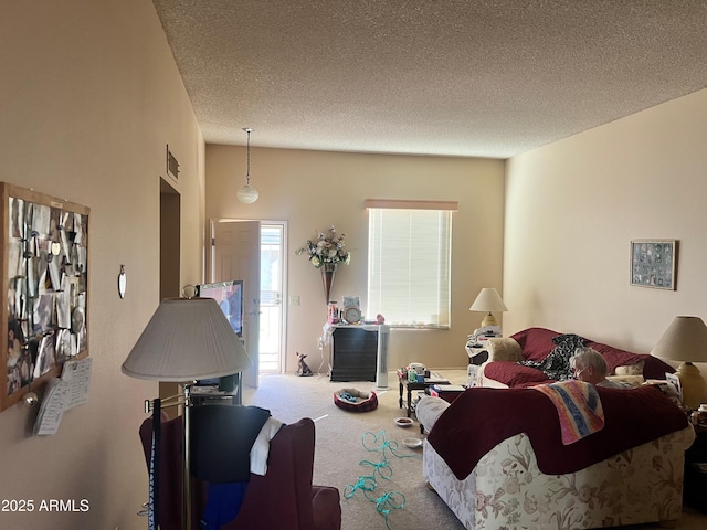 carpeted living room with a textured ceiling