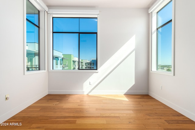 empty room featuring light hardwood / wood-style floors