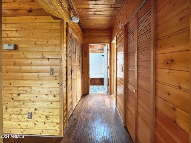 corridor featuring dark wood-type flooring, wooden ceiling, and wood walls