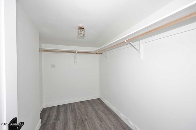 walk in closet featuring dark wood-type flooring