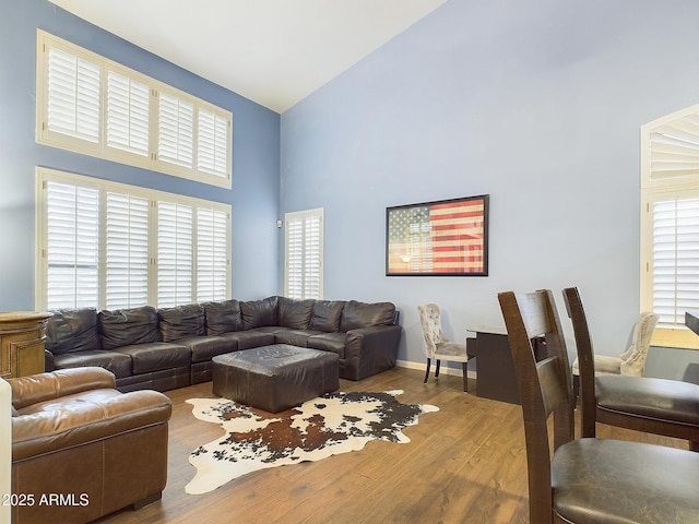 living room featuring hardwood / wood-style floors, high vaulted ceiling, and a healthy amount of sunlight