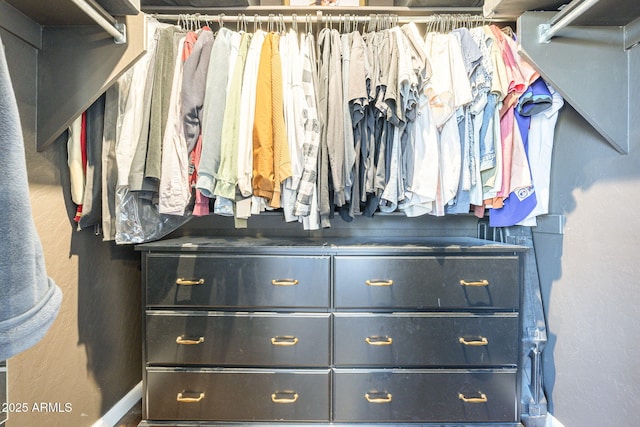 view of spacious closet