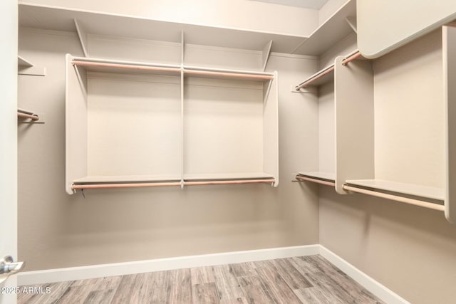 spacious closet featuring wood finished floors
