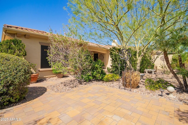 rear view of property with a patio area and stucco siding
