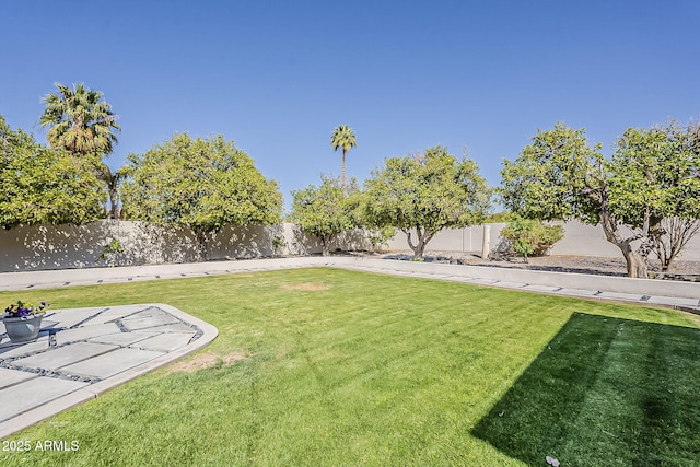 view of yard featuring a patio area and a fenced backyard