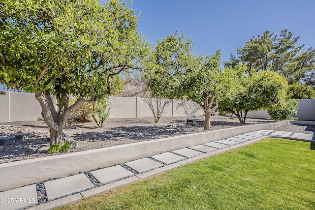 view of yard with a fenced backyard