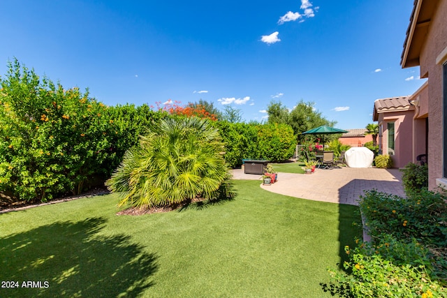 view of yard with a patio and a hot tub