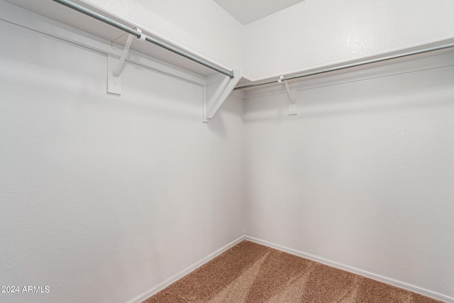 walk in closet featuring carpet flooring