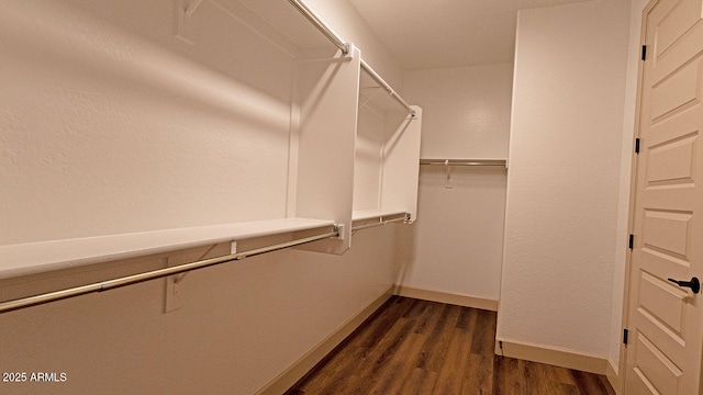 walk in closet featuring dark wood finished floors