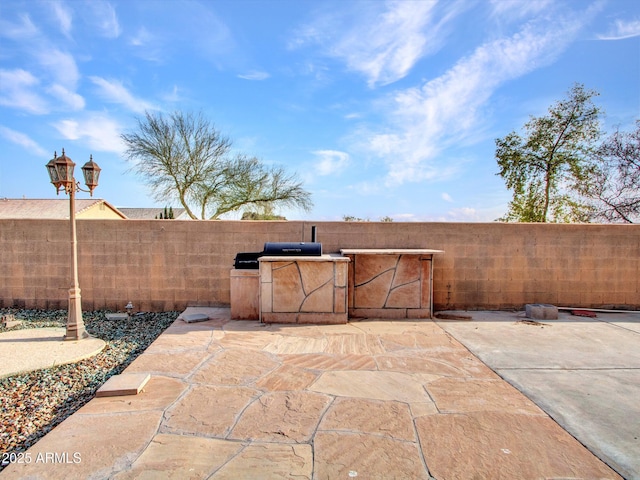 view of patio / terrace with a fenced backyard
