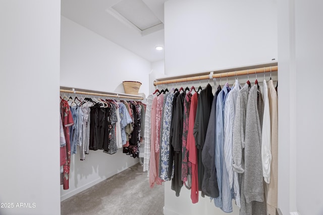 spacious closet featuring carpet floors and attic access