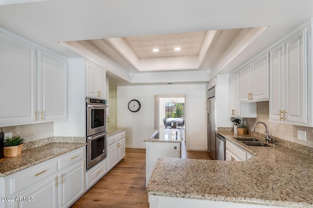 kitchen with light wood-style flooring, stainless steel appliances, a sink, light stone countertops, and a raised ceiling