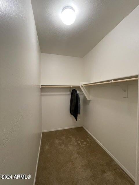 walk in closet featuring dark colored carpet