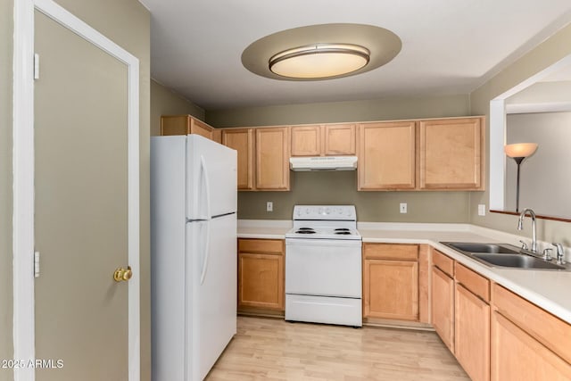 kitchen with light wood-style flooring, light brown cabinetry, a sink, white appliances, and under cabinet range hood