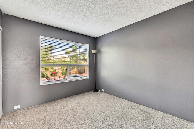 empty room with carpet flooring, a textured wall, and a textured ceiling