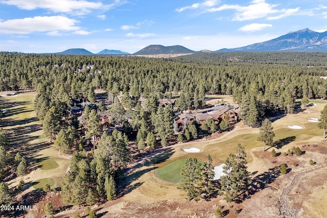 birds eye view of property with a mountain view