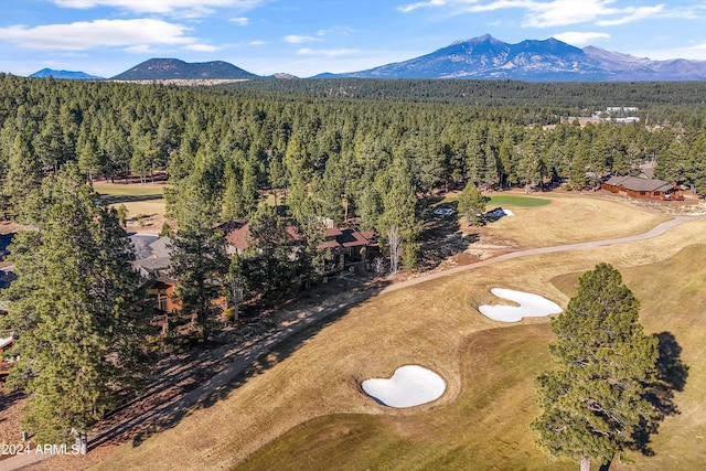 aerial view with a mountain view