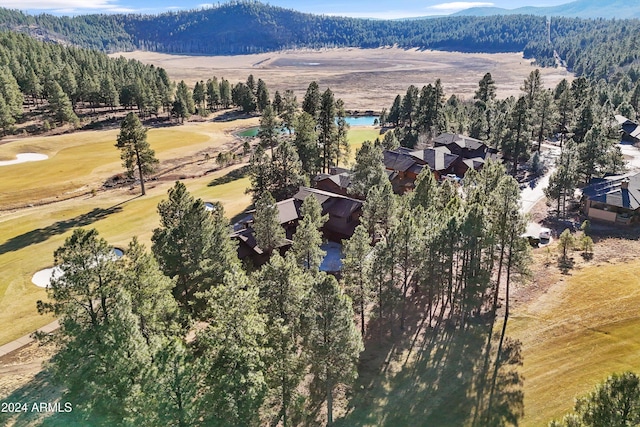 birds eye view of property with a mountain view