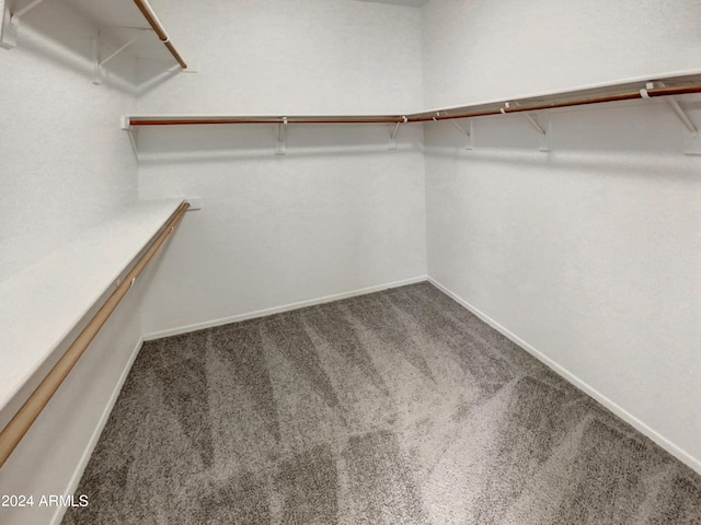 spacious closet featuring carpet