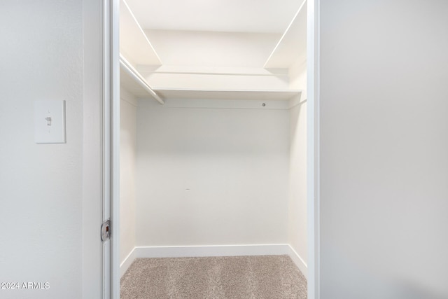 walk in closet featuring carpet floors