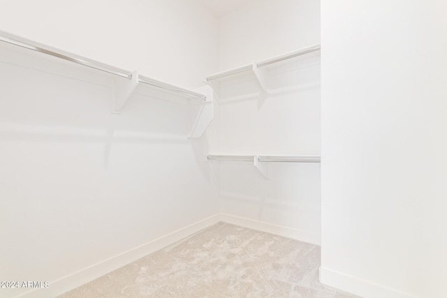 walk in closet with light carpet