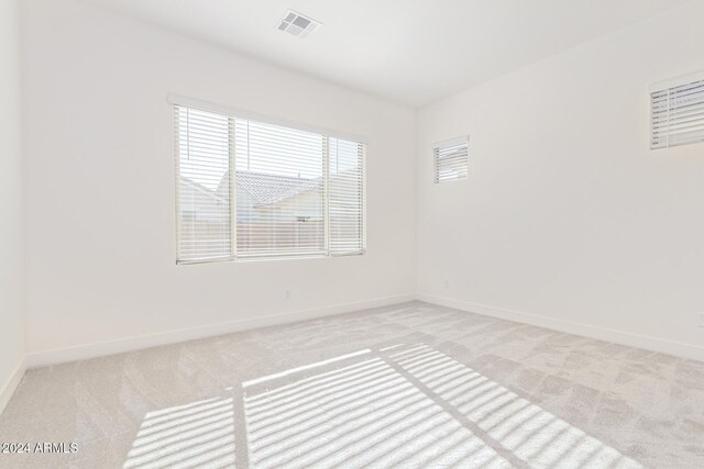 carpeted empty room with a healthy amount of sunlight